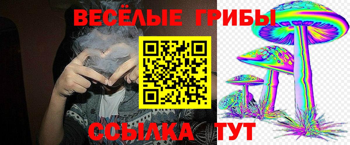 Псилоцибиновые грибы ЛСД Богородск