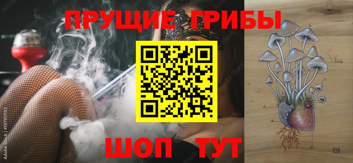 ГАШ Богородск