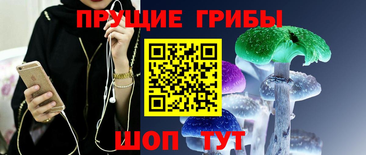 Псилоцибиновые грибы Psilocybe  Вход с VPN  Богородск  Галлюциногенные грибы Psilocybine cubensis 